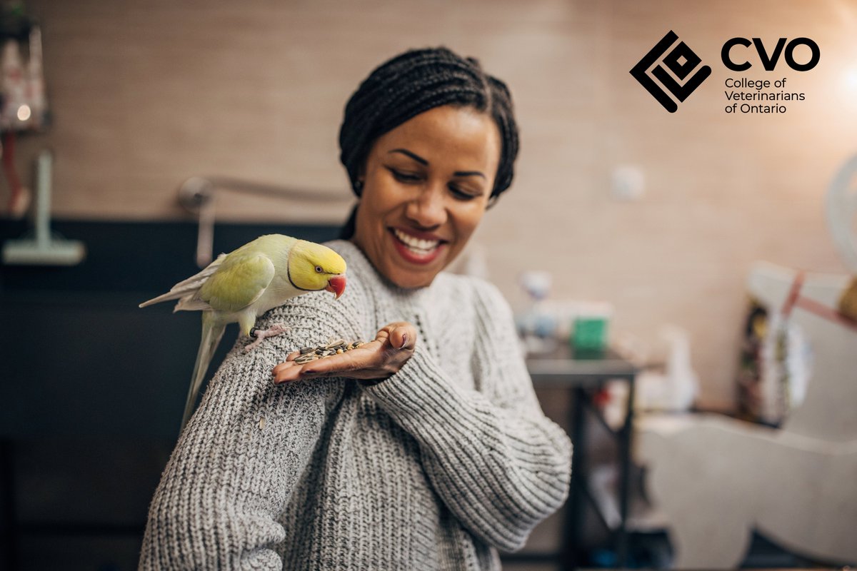 🐶 Happy #NationalPetDay! 🐴

Today, we celebrate all our furry 🐱, feathered🐦, and scaly friends 🐢 who bring joy, love, and companionship into our lives! Whether you have a cat, dog, bird, fish, or any other beloved pet as part of your family, take a moment to appreciate them!