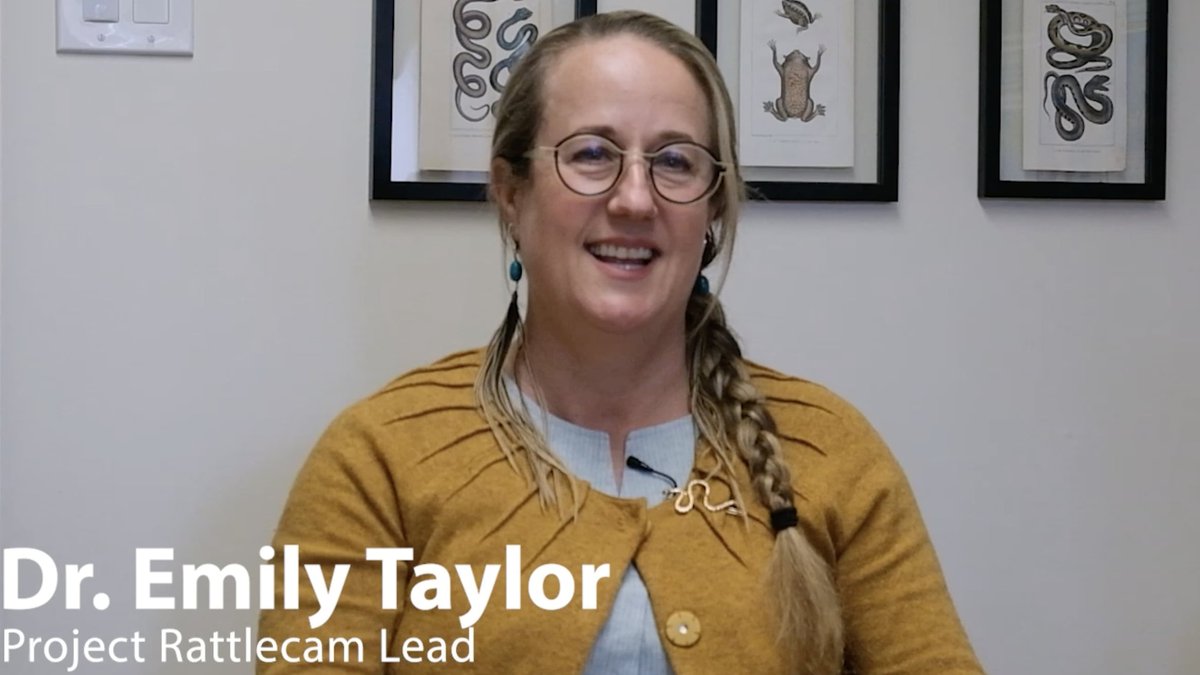 Cal Poly Bailey College of Science and Mathematics (@calpolycsm) on Twitter photo Help support new Project Rattlecam technology through our latest Crowdfund launch.
Biology Professor Emily Taylor speaks about the fascinating aspects of doing rattlesnake research through livestream observation in video attached.
Link: bit.ly/3YsWEcN
<a href="/snakeymama/">Emily Taylor</a> Help support new Project Rattlecam technology through our latest Crowdfund launch.
Biology Professor Emily Taylor speaks about the fascinating aspects of doing rattlesnake research through livestream observation in video attached.
Link: bit.ly/3YsWEcN
<a href="/snakeymama/">Emily Taylor</a>