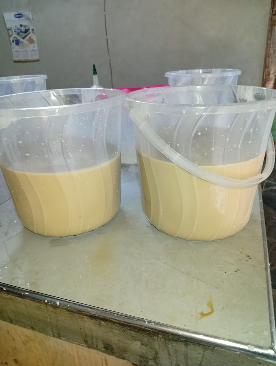 MagreenMorganic's tweet photo. We are making #effectivemicroorganisms (EM1) at our farm. #EM1 enhances soil fertility, improves yields and quality, and builds resistance to pests and diseases. #soilhealth #growsoil #growfood https://t.co/9F5Sf9E5xq