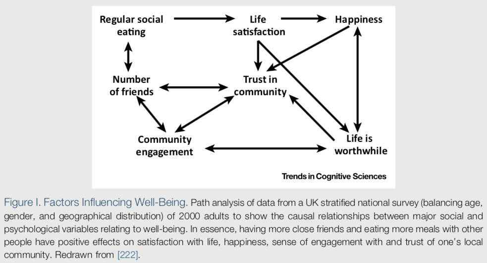 Feeling connected to a community leads to:

Happiness

Life satisfaction

Feeling that life is worthwhile