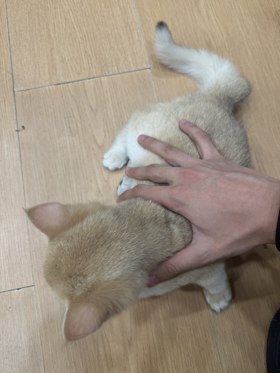 刘帅 (@r_forever2010) on Twitter photo 