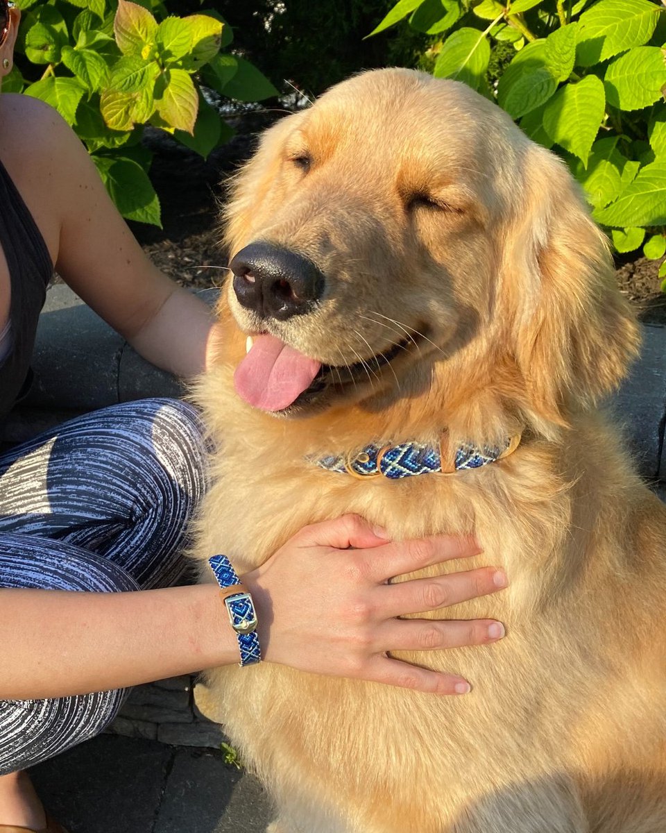 FCollars's tweet photo. Friday vibes: Good mood activated. β€πΎπΆ
#friendshipcollar #love #lovemydog #pettwinning #friendship #dog #puppy #pet #petcollar #doglover #dogoftheday #matching #mansbestfriend #kindness #vegan #petcare #friendshipgoals #collar #fashion #fyp #pup #dogmom #petbond https://t.co/O6BVTke2sM