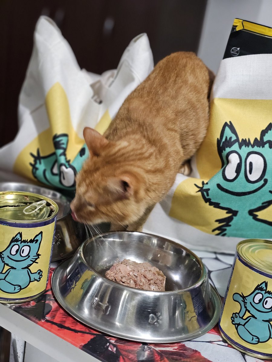 KaspaWizard's tweet image. It’s #NationalPetDay — the purrfect time to share $KASPY’s story!

Because sometimes, the tiniest paws 🐾 leave the biggest prints on our hearts ❤️

Let’s send $KASPY’s journey into every heart today! 

@kaspy_io

#KASPY #KASPA #MEME #CryptoWithHeart #PetDay #Web3Pets 🐶🐱