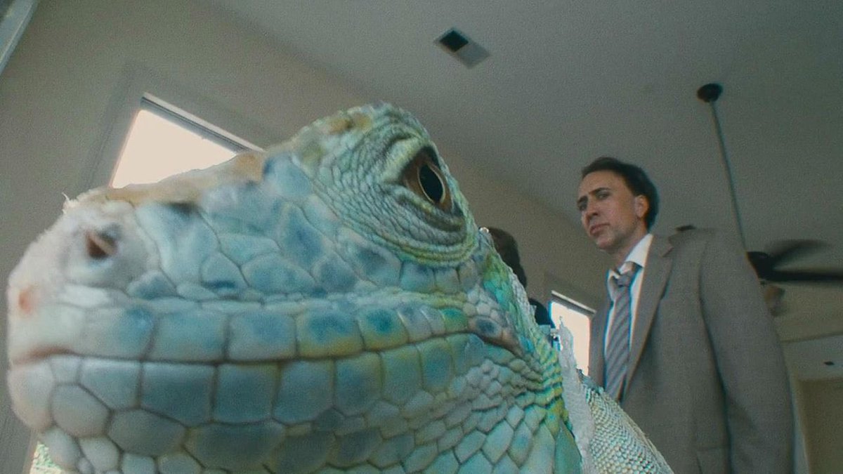 out of context nic cage (@nicccage) on Twitter photo 