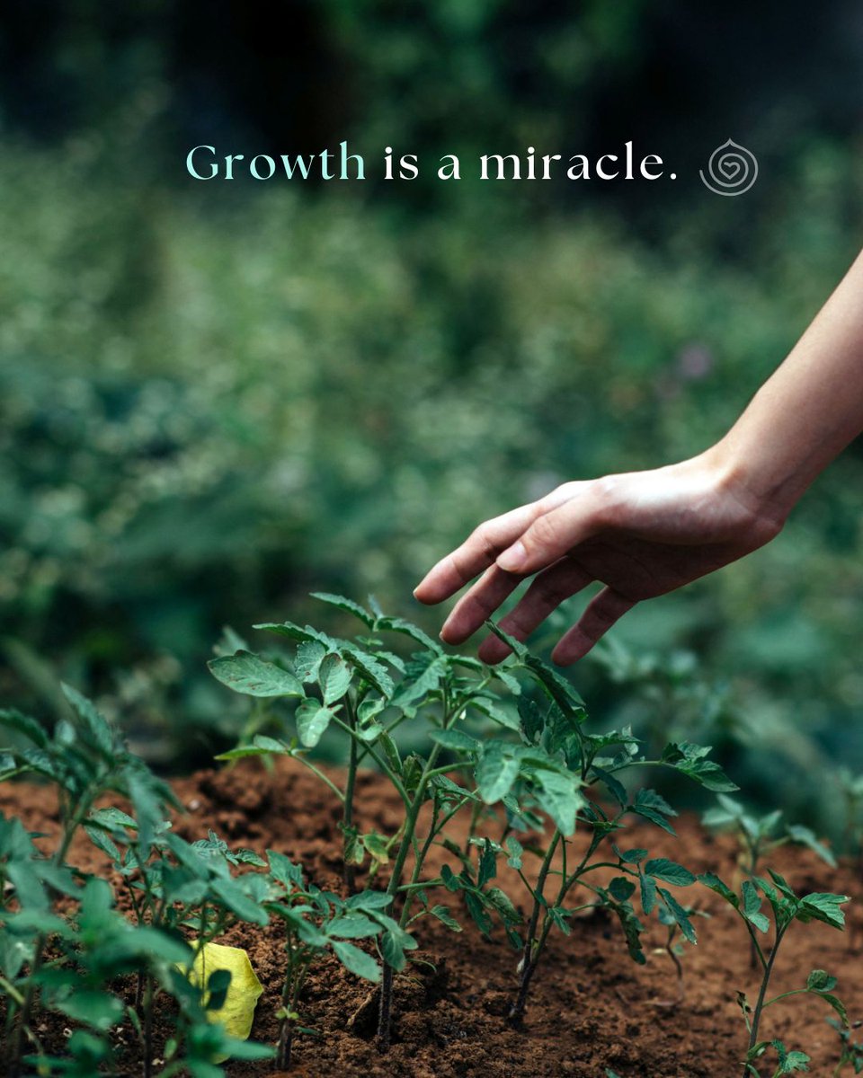 DiscHealing's tweet image. There are miracles all around us. Take a moment today to be grateful.💚
#Positivity #EmotionCode #BodyCode #Present