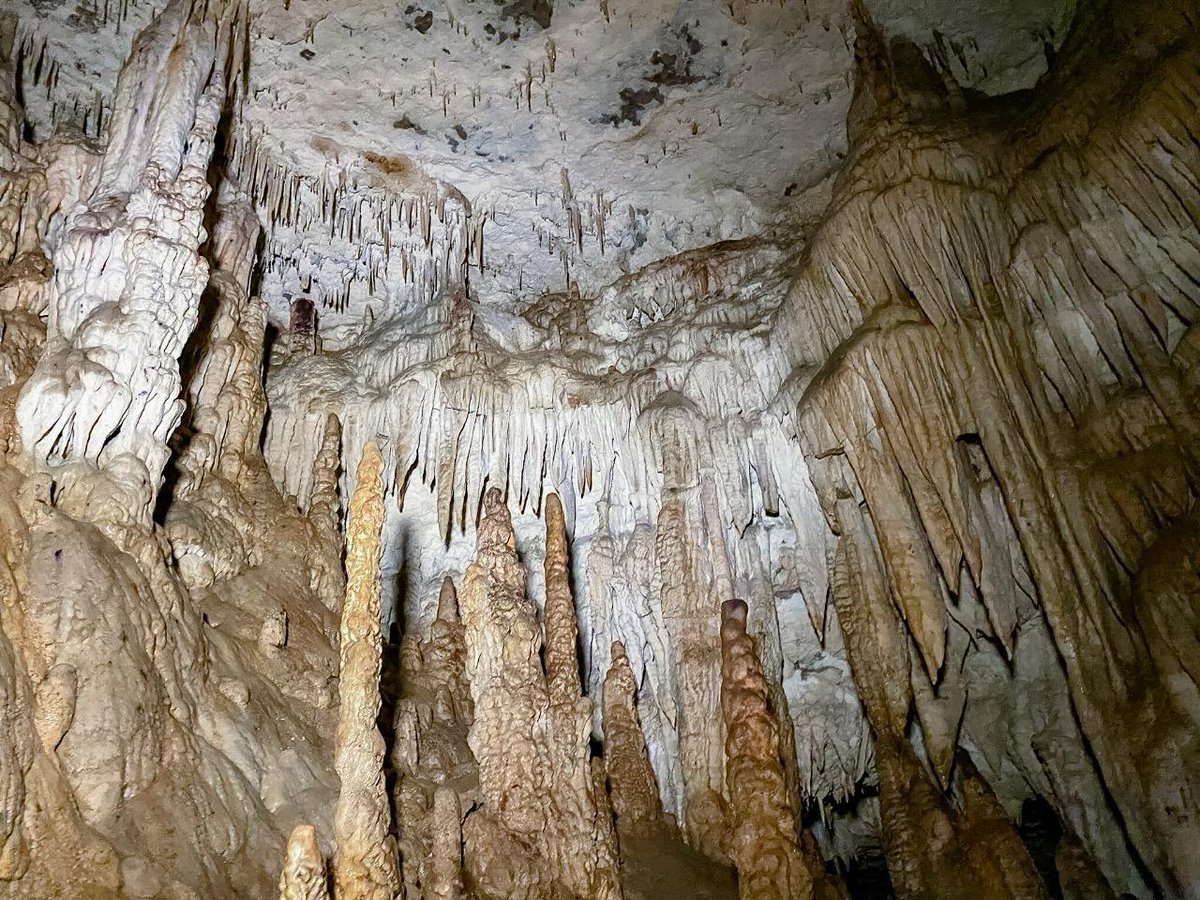 UNESCOQuito's tweet photo. Nuevo Geoparque Mundial de la UNESCO Napo Sumaco. Ubicado en la Amazonia ecuatoriana, abarca 170 millones de años de historia geológica y es epicentro de biodiversidad con de 6.000 especies vegetales y fauna única. https://t.co/tn2SRxcE6L
