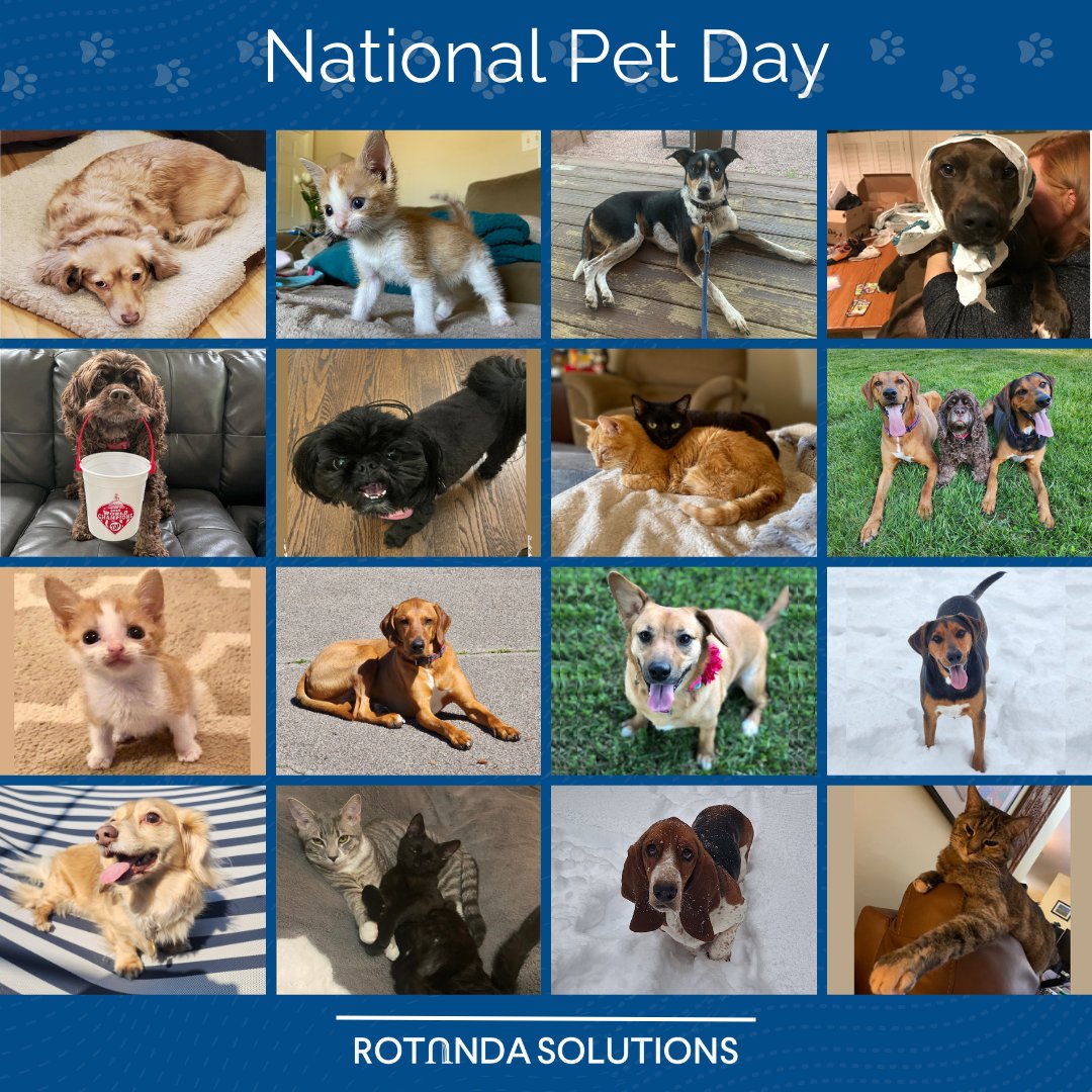 RotundaData's tweet photo. From our pets to yours, Happy National Pet Day! #NationalPetDay https://t.co/SEK1ibW65K