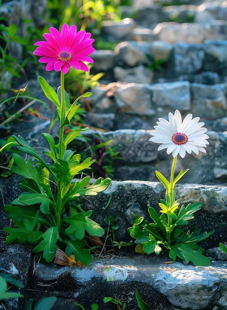 Colourful views (@natureinspai45) on Twitter photo 