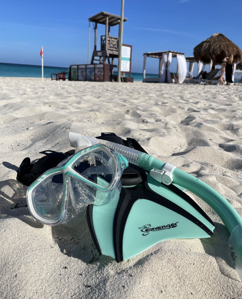 seavenger's tweet photo. Can't resist this weather!! It's a perfect weather for snorkeling. 🦭🐚

https://t.co/tpra1wQNzZ https://t.co/Hc8WBKhtM9
