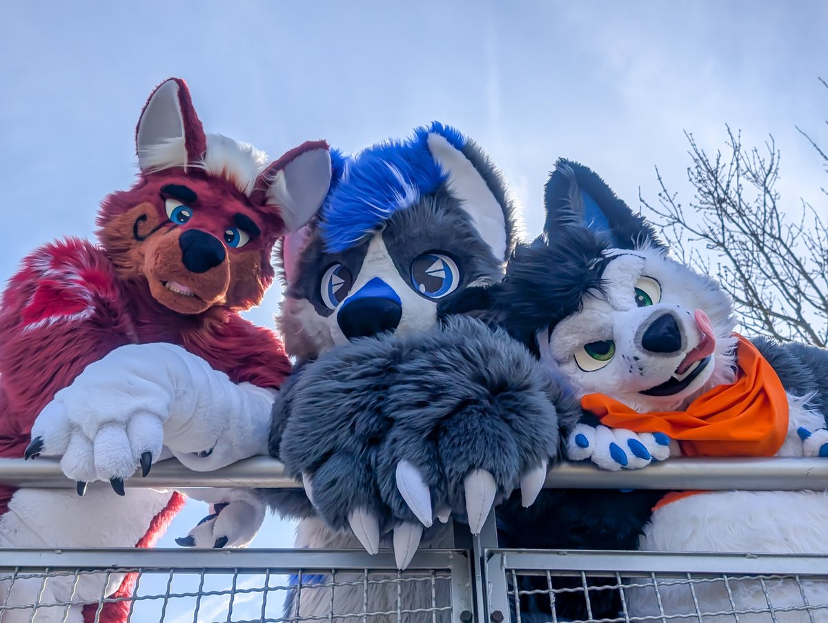 Adian Fangs (@adianfangs) on Twitter photo Last weekend, I attended my very first Suitwalk, and it was an amazing experience! I had so much fun and can't wait for the next one.  #Suitwalk #FurryFun #FursuitFriday 
📸<a href="/Sayo_Flufftiger/">Sayorim</a>
🐺 in the middel <a href="/DarkalpTheWolf/">DarkAlp_</a> 
🐺 on the right <a href="/TushkyWolf/">Tushky</a> Last weekend, I attended my very first Suitwalk, and it was an amazing experience! I had so much fun and can't wait for the next one.  #Suitwalk #FurryFun #FursuitFriday 
📸<a href="/Sayo_Flufftiger/">Sayorim</a>
🐺 in the middel <a href="/DarkalpTheWolf/">DarkAlp_</a> 
🐺 on the right <a href="/TushkyWolf/">Tushky</a>