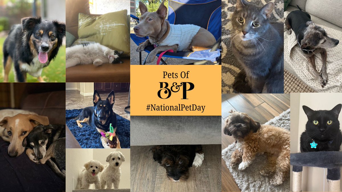 b&p ad media pr tweet media