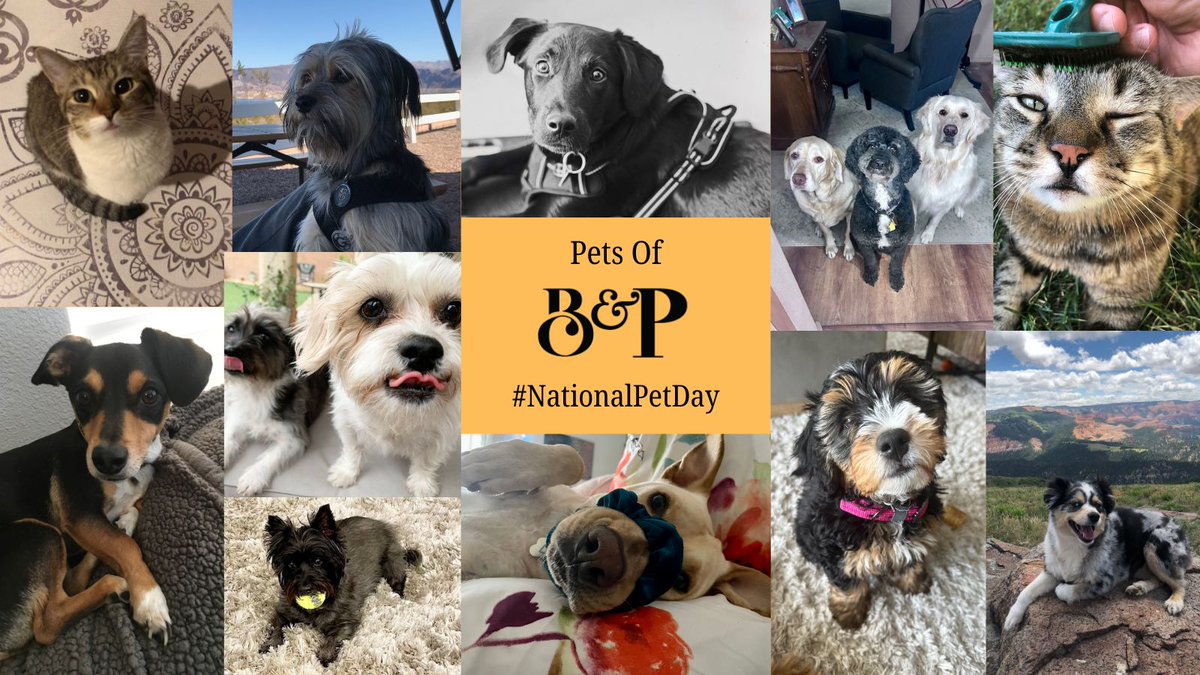 b&p ad media pr tweet media