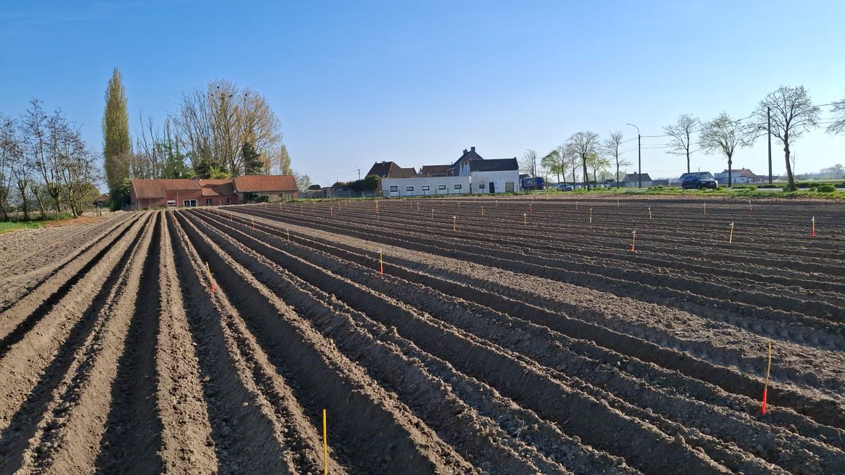 KrtDm's tweet photo. Volop aardappelproeven planten deze week op#Inagro. 💪🥔 https://t.co/6taC1ceRFE