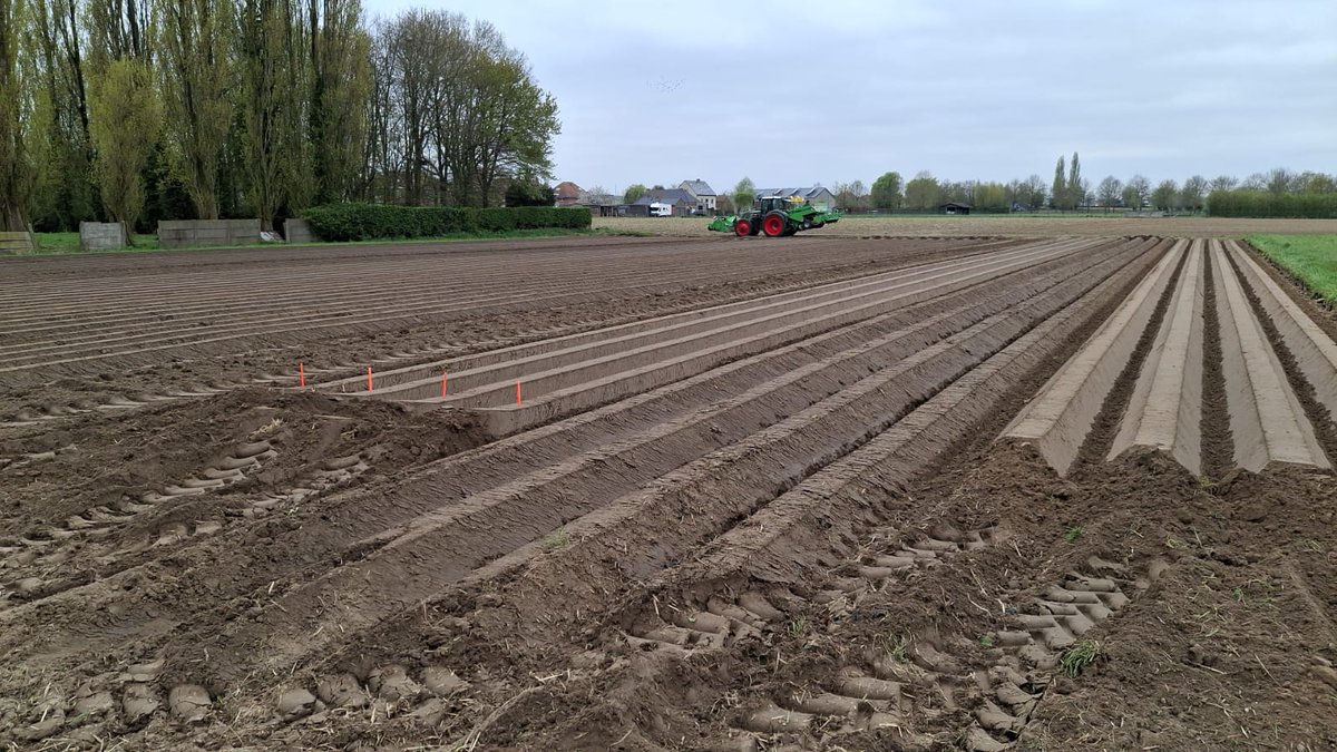 KrtDm's tweet photo. Volop aardappelproeven planten deze week op#Inagro. 💪🥔 https://t.co/6taC1ceRFE