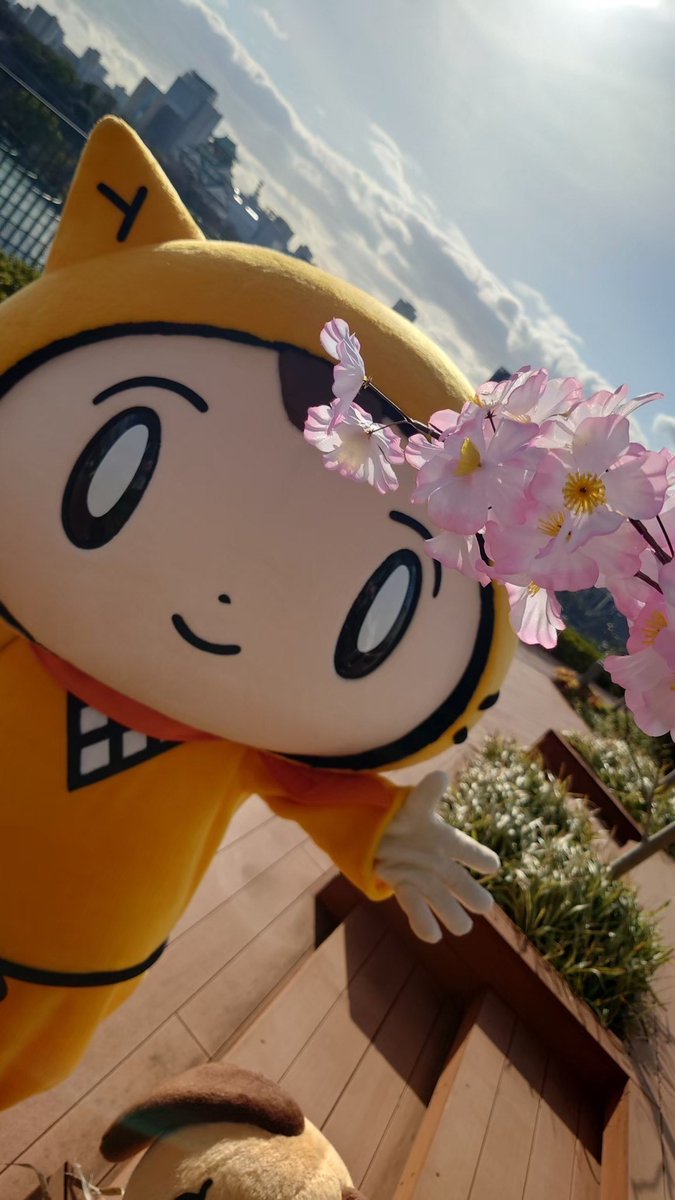 らいよんチャン