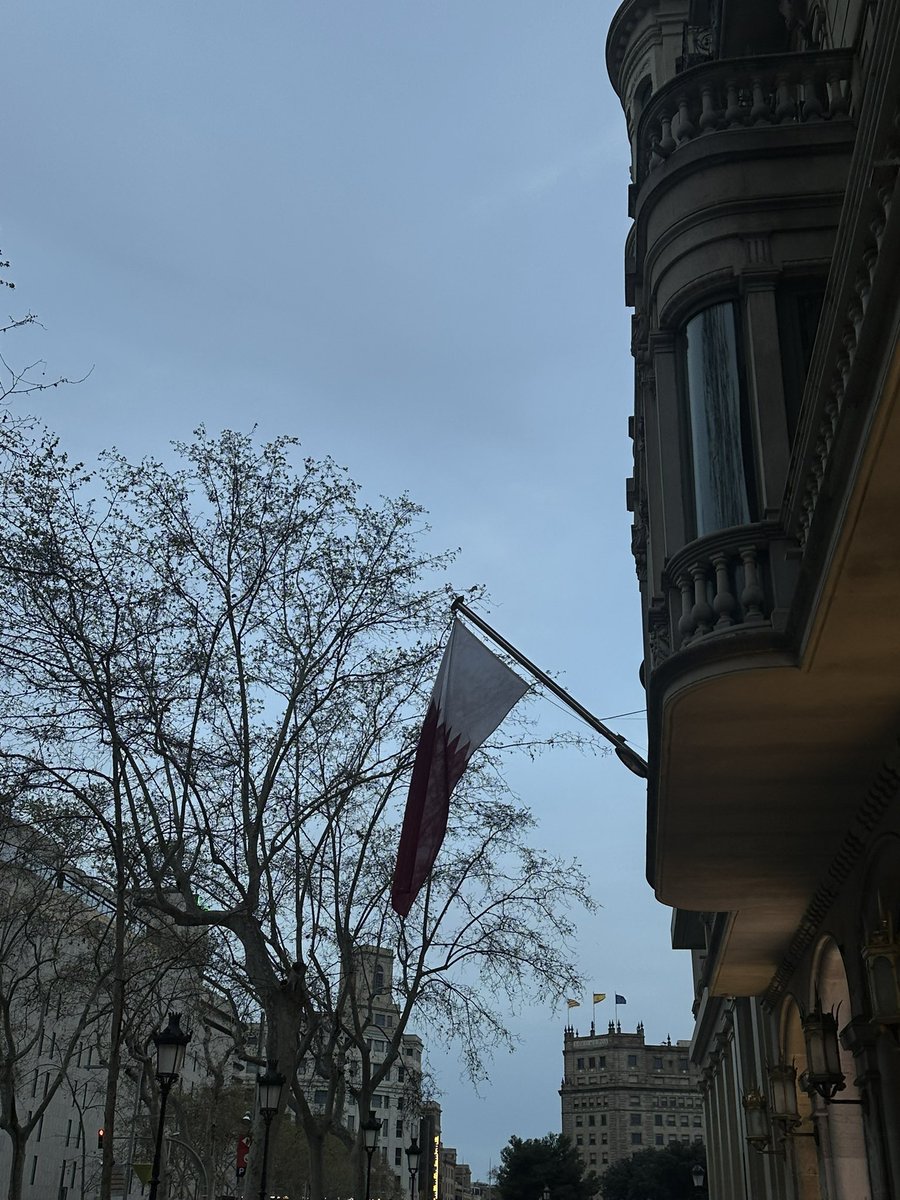QatariPintrest's tweet image. 