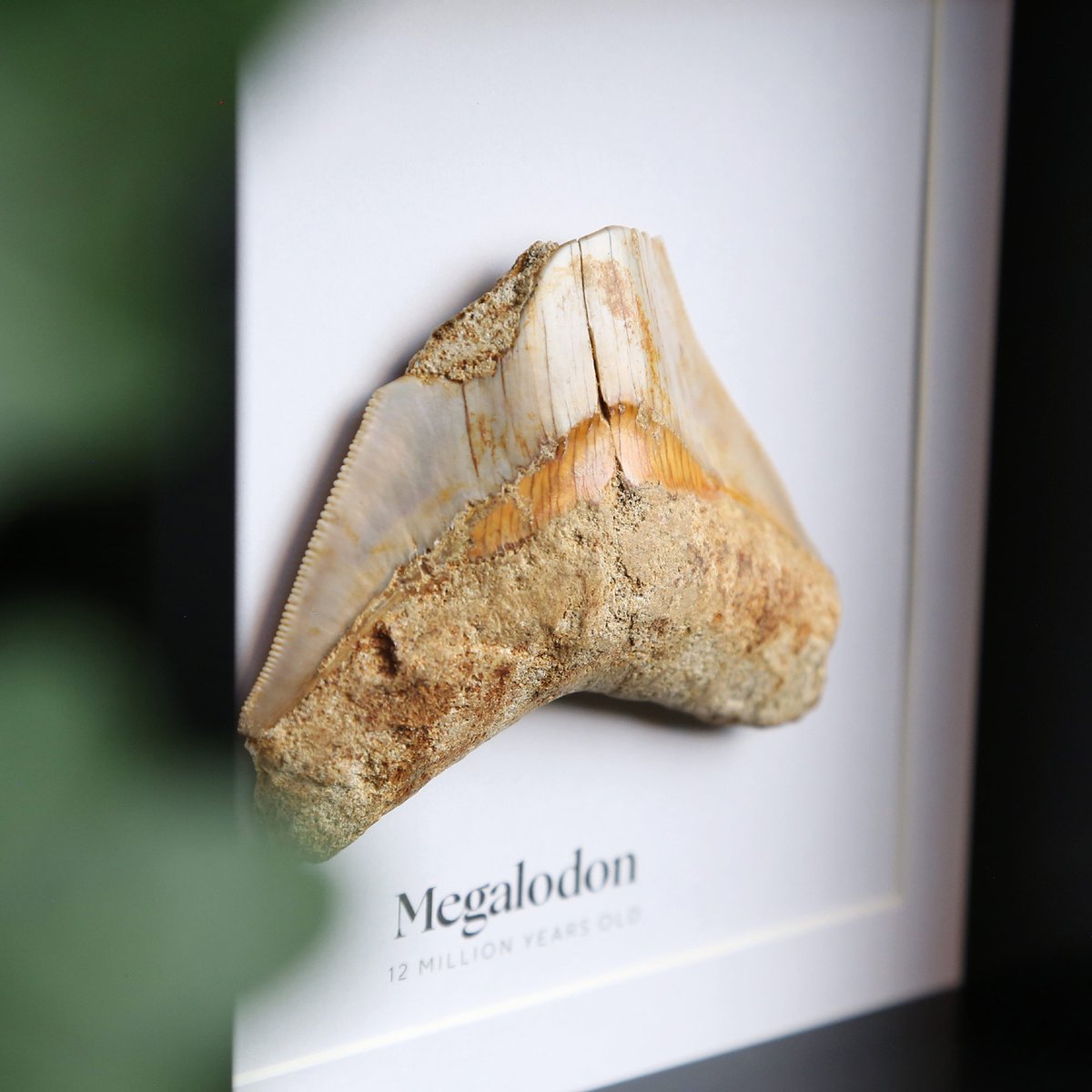 CuratedStudio tweet media