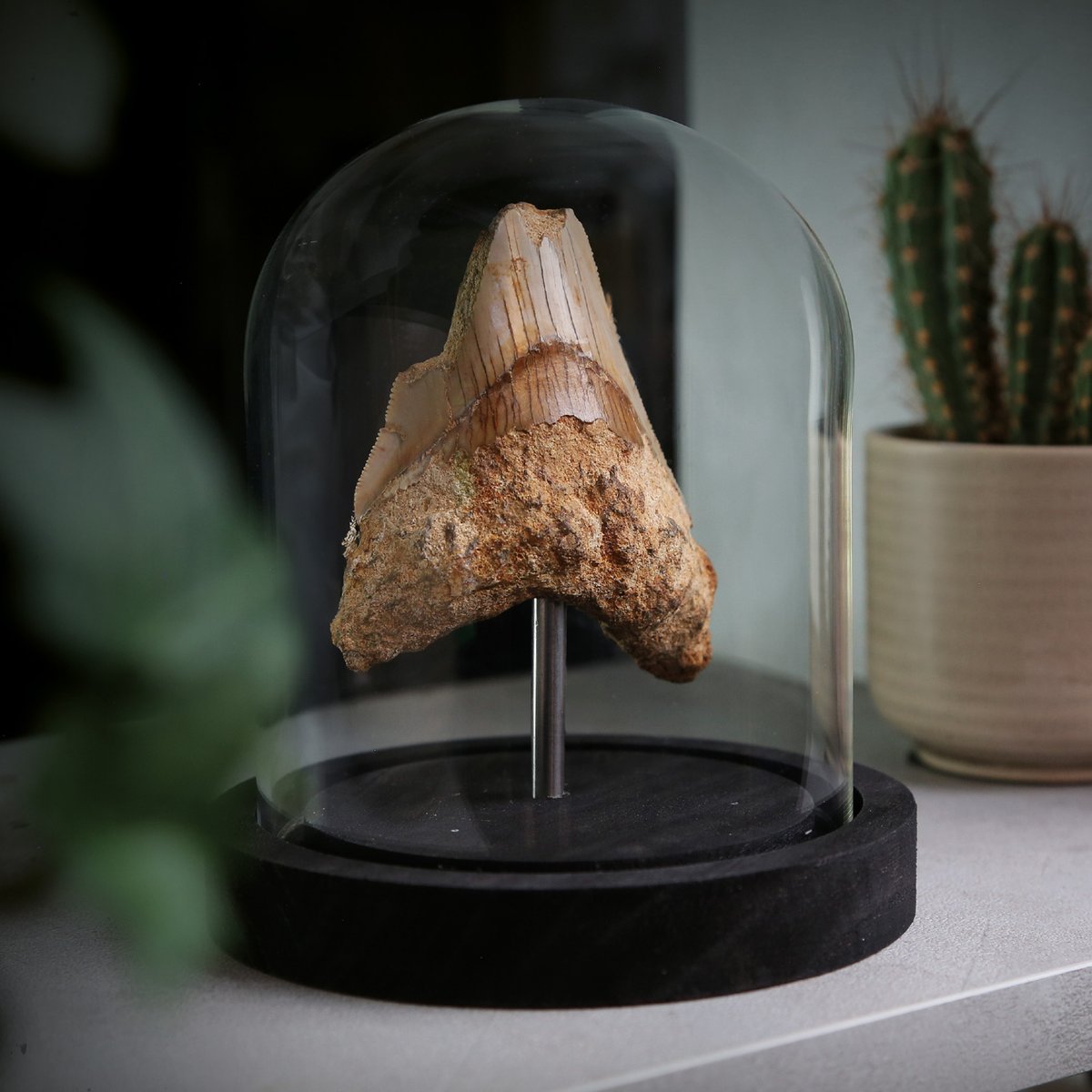 CuratedStudio tweet media