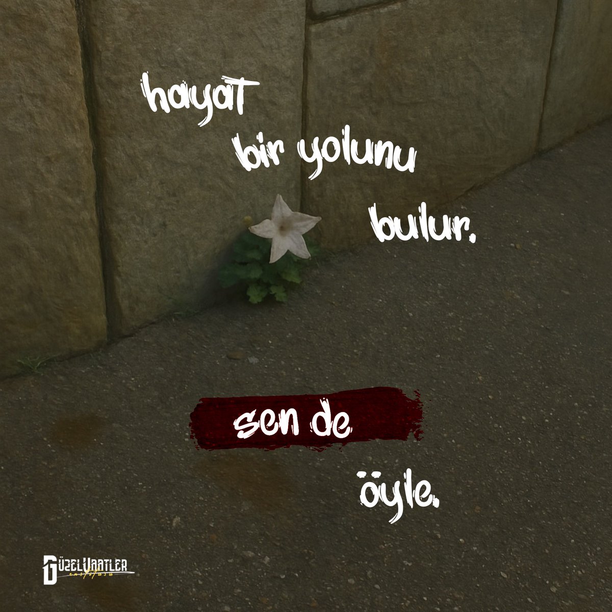 birbisnev's tweet photo. | bir yolunu buluruz. https://t.co/iO11XhD6Rp