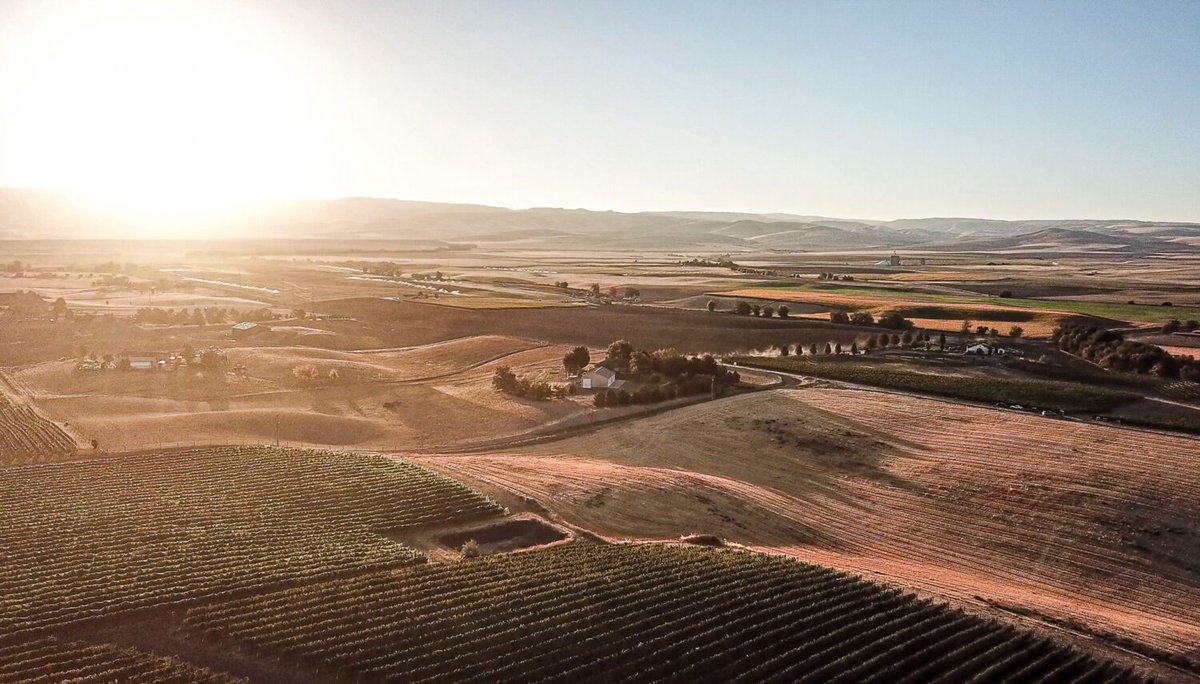 Encompassing more than a quarter of the state, the #ColumbiaValley AVA is by far Washington’s largest growing region at 11+ million acres. It is home to over 99% of all of Washington’s #vinifera acreage. #funfactfriday