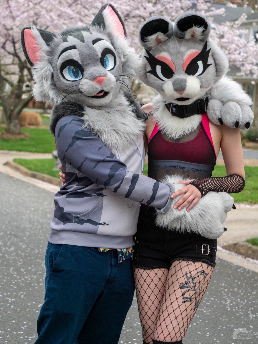 Cats and bunnies getting along together... for now 😼🍽
🐇: <a href="/VCSDOG/">ATARI 💌⛓️</a> 
📷: <a href="/HeliosSnowCat/">Helios</a>