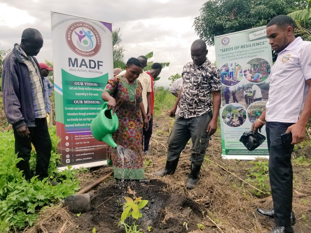 Maru_foundation's tweet photo. We’re not just planting trees— but planting resilience in Uganda! 🇺🇬

Through our #SeedsOfResilience project in Kasese, we continue distributing &amp; planting indigenous &amp; fruit trees with communities to restore degraded lands &amp; secure livelihoods.

Thanks to Umverteilen Stiftung! https://t.co/HZg9khpi4P
