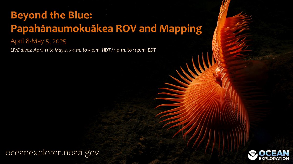 oceanexplorer's tweet photo. April 11-May 2, join #NOAA Ocean Exploration (@oceanexplorer) &amp; partners for LIVE #Okeanos dives to explore deep waters of Hawai‘i: https://t.co/PDZI7Dt7LD https://t.co/fxjEMHeP1e