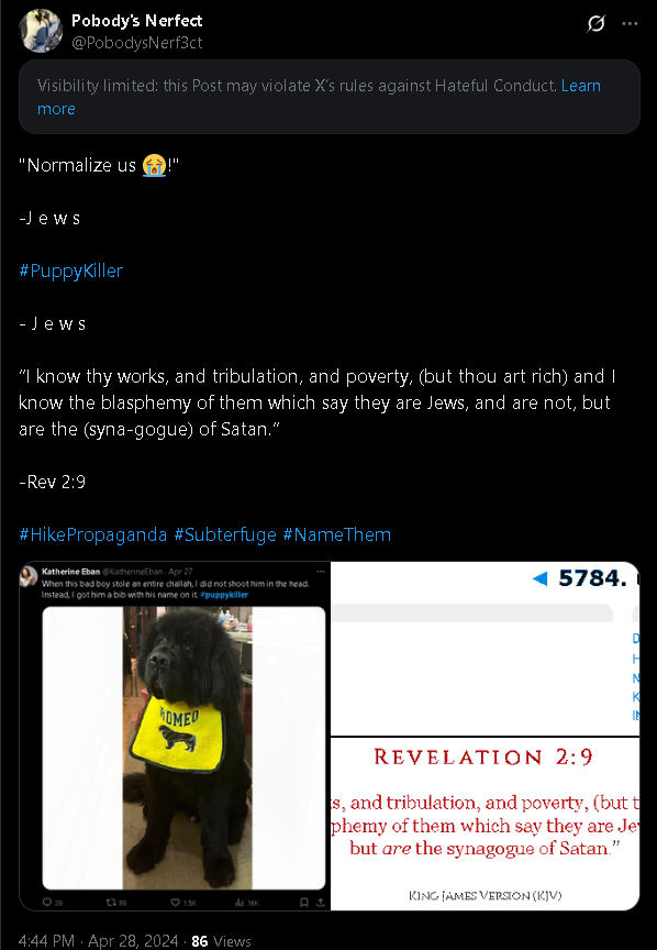 1TrillionFOHs's tweet image. Remember when they got #PuppyKiller trending and everyone ignored the obvious reality that it was an effort to recalibrate non-Idumeans towards reaccepting the Babylonians and their doctrine? I do.

#Israel #Satanic #FOH