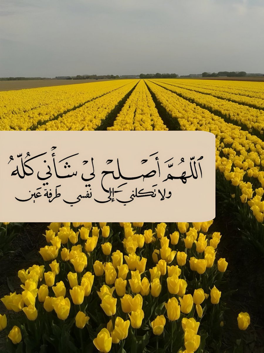 ورقـيات (@1a_610) on Twitter photo 