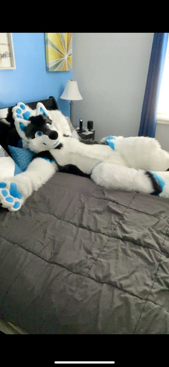 thedoggodex's tweet image. It’s Friday, that means cuddle time!! #FursuitFriday