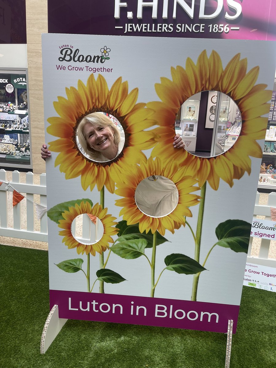 LutoninBloom's tweet photo. What a day! We had so much fun at our Seed Sharing event at @LutonPointUK 

Our amazing sunflowers, Laura from Young growers, wild science and so much more! 

Keep an eye our next event as well as our competition info! 

#WeGrowTogether https://t.co/l3XnJ8xApN