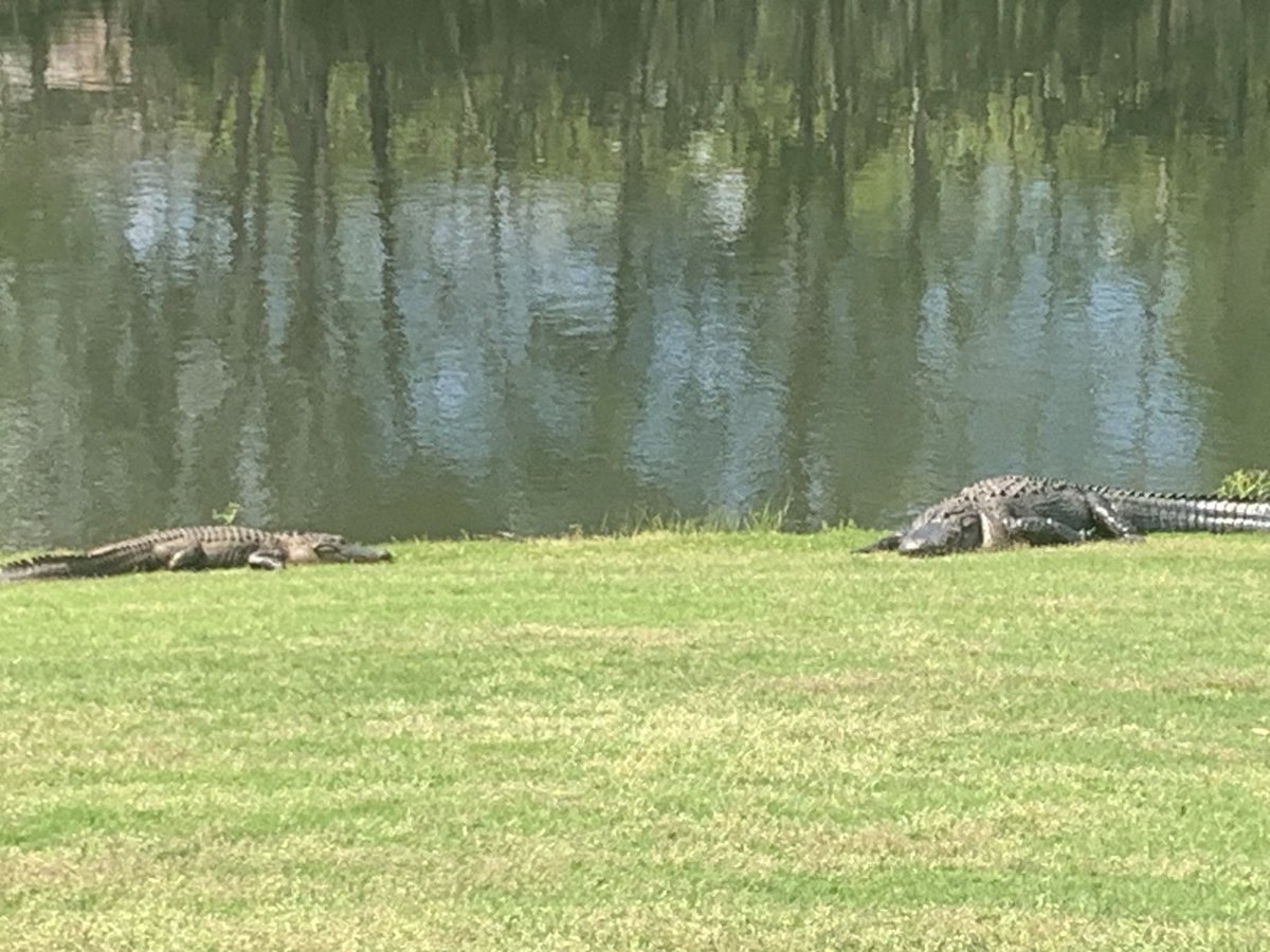 Doug-MHB (@dc02702181) on Twitter photo 