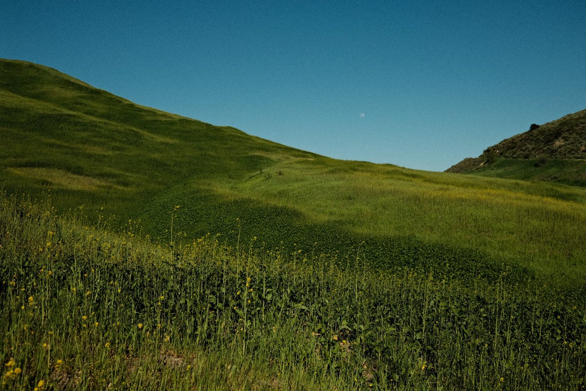 catrinalyn's tweet photo. the green hills surrounding us https://t.co/nm3VjPpegu