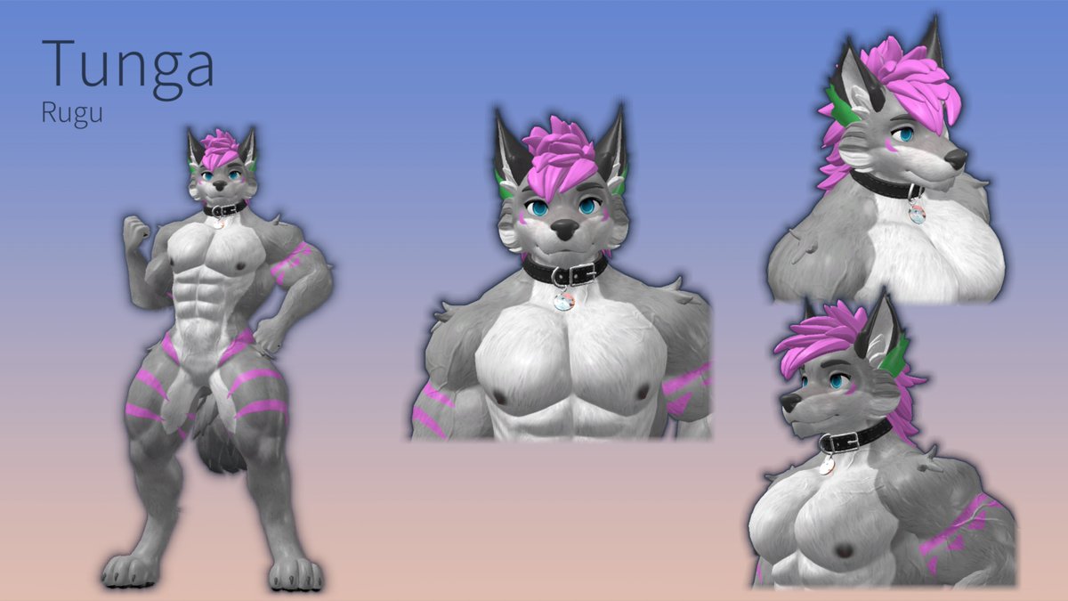 TungaTheWolf tweet media