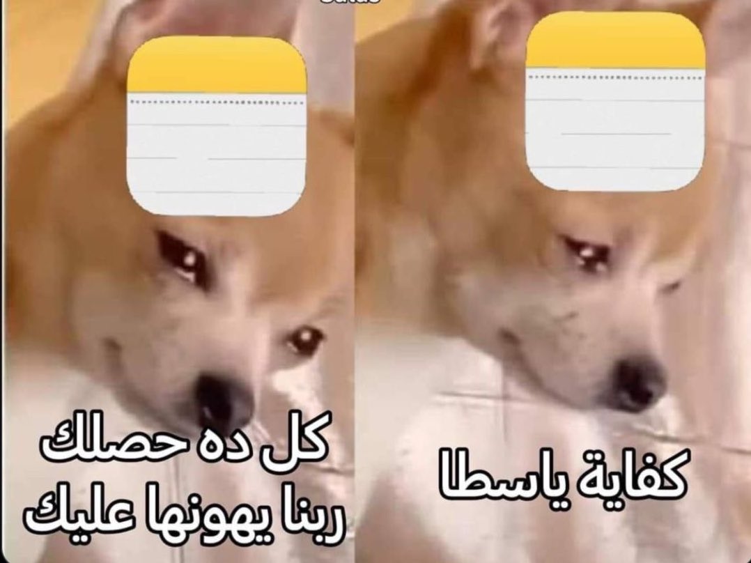 MemesOficiial's tweet photo. لما اتكلم مع ال note https://t.co/96aeye60d6
