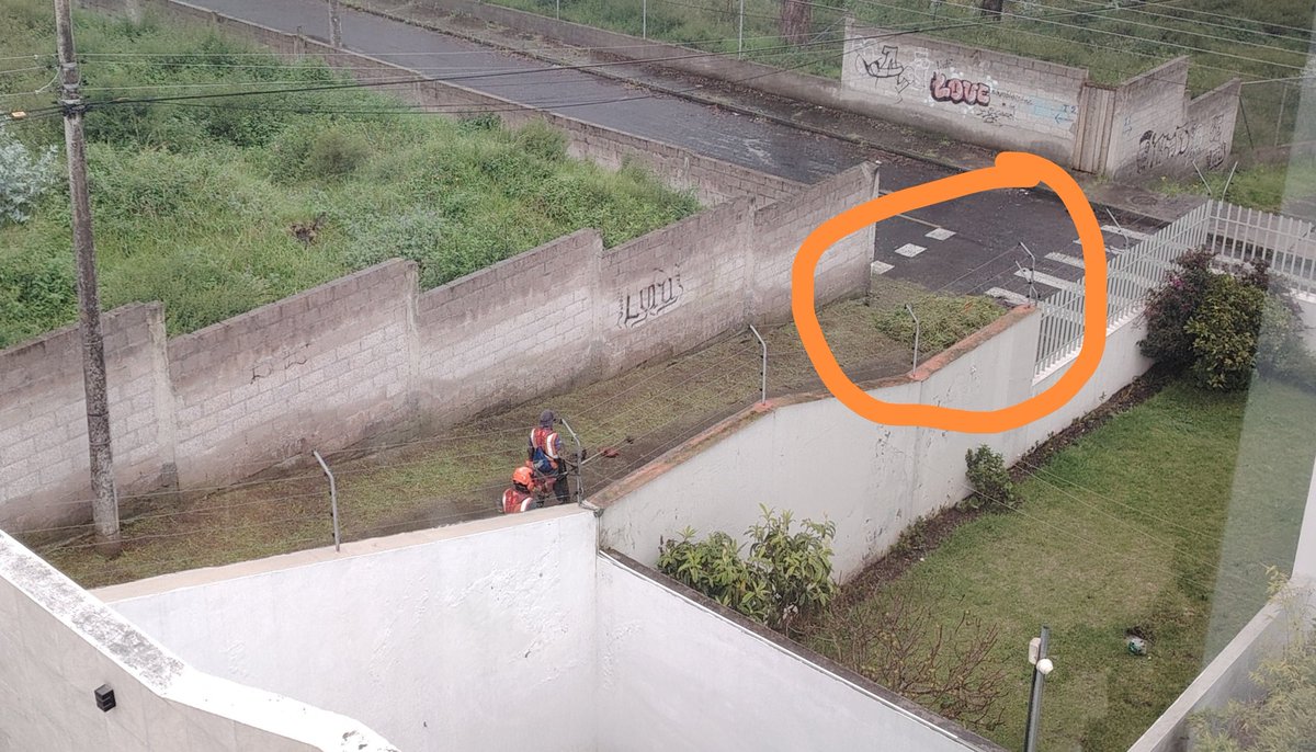 ferafav's tweet photo. @MunicipioQuito @ObrasQuito no sé si es un trabajo realizado por el municipio pero dejan todo lo cortado en las aceras cerca de los sumideros, trabajo a medias, y esto es cada vez realizan ese trabajo, 1 vez cada 3 meses, después xq tenemos sumideros tapados https://t.co/vfh2VNM9xm