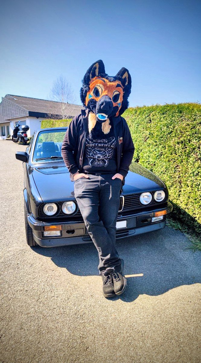 Already #fursuitfriday again