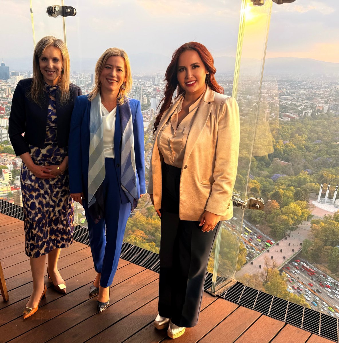 María De Haas tweet media