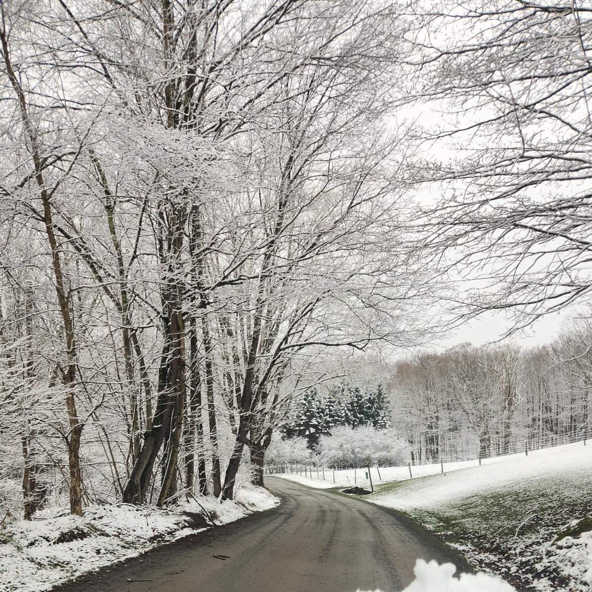 waynecountypa's tweet photo. When spring is loading... but your WiFi's slow.
#waynecountypa #snowinapril #springsnowfall https://t.co/KHrF1T2WP9