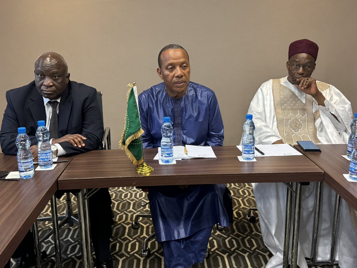 H.E. <a href="/TrovoadaPatrice/">Patrice Trovoada</a>, Head of the #AUEOM to the 12th April 2025 Presidential Elections in #Gabon, participated in a meeting of Heads of International Election Observation Missions including <a href="/OIFrancophonie/">La Francophonie</a>, <a href="/commonwealthsec/">The Commonwealth</a>, <a href="/CEEAC_ECCAS/">CEEAC_ECCAS</a>. They exchanged views on the upcoming 1/2