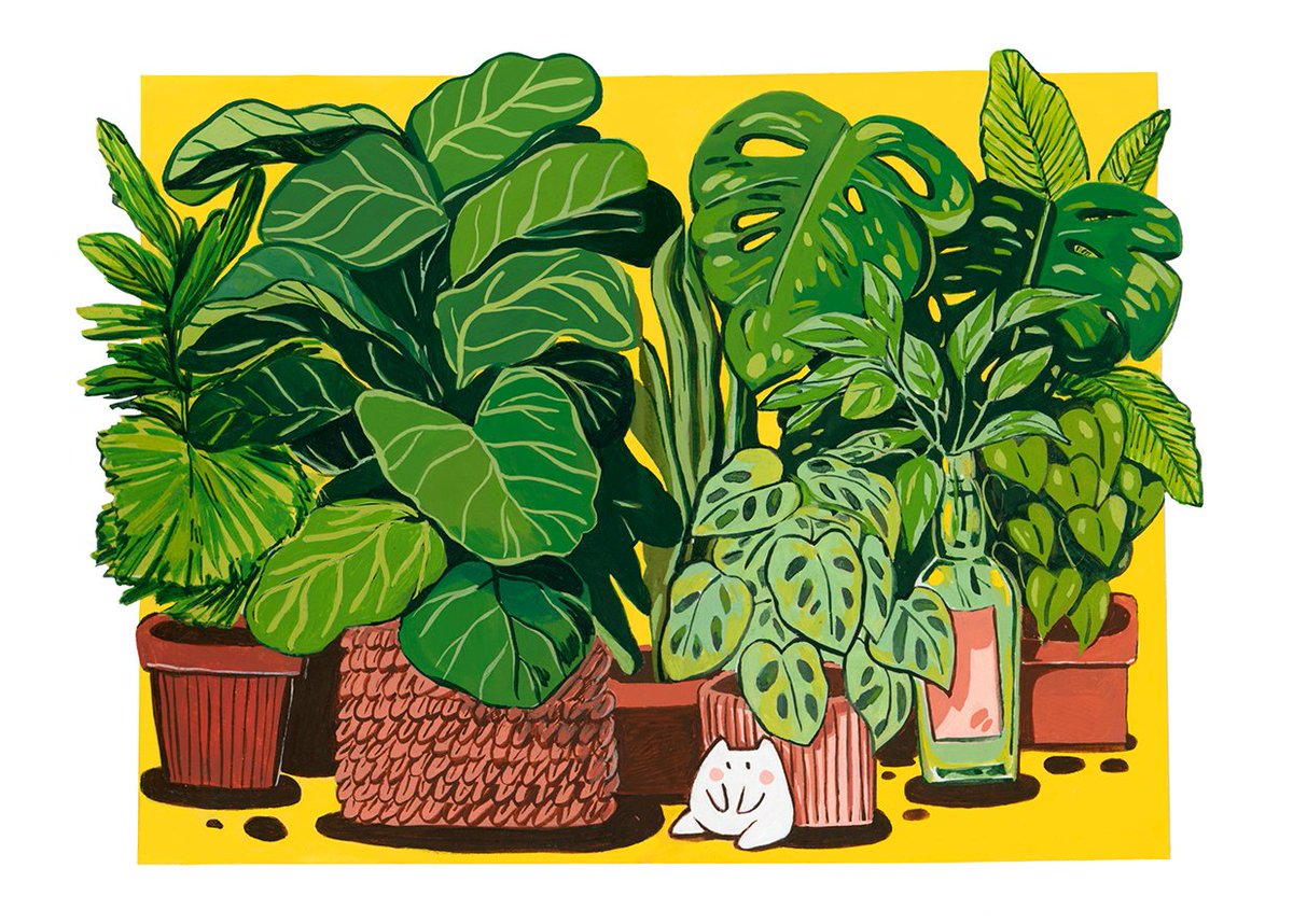 Free shipping on orders over $30 all weekend, at my INPRNT 🌱✨