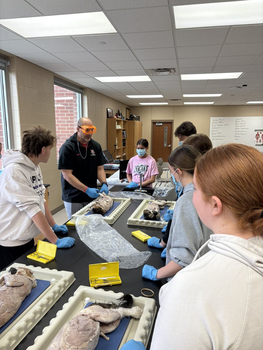 Craters, Collisions and Cats! Big day in the science department <a href="/NorthPolkHS/">North Polk High School</a> <a href="/NorthPolkCSD/">North Polk CSD</a> <a href="/coachskillern/">Coach Skillern</a>