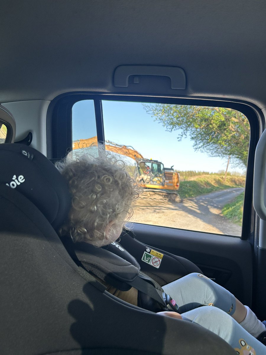 Dara Killeen tweet media