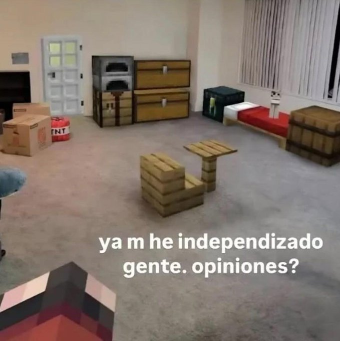 chincheto pirata somali (@wikipistacho) on Twitter photo 