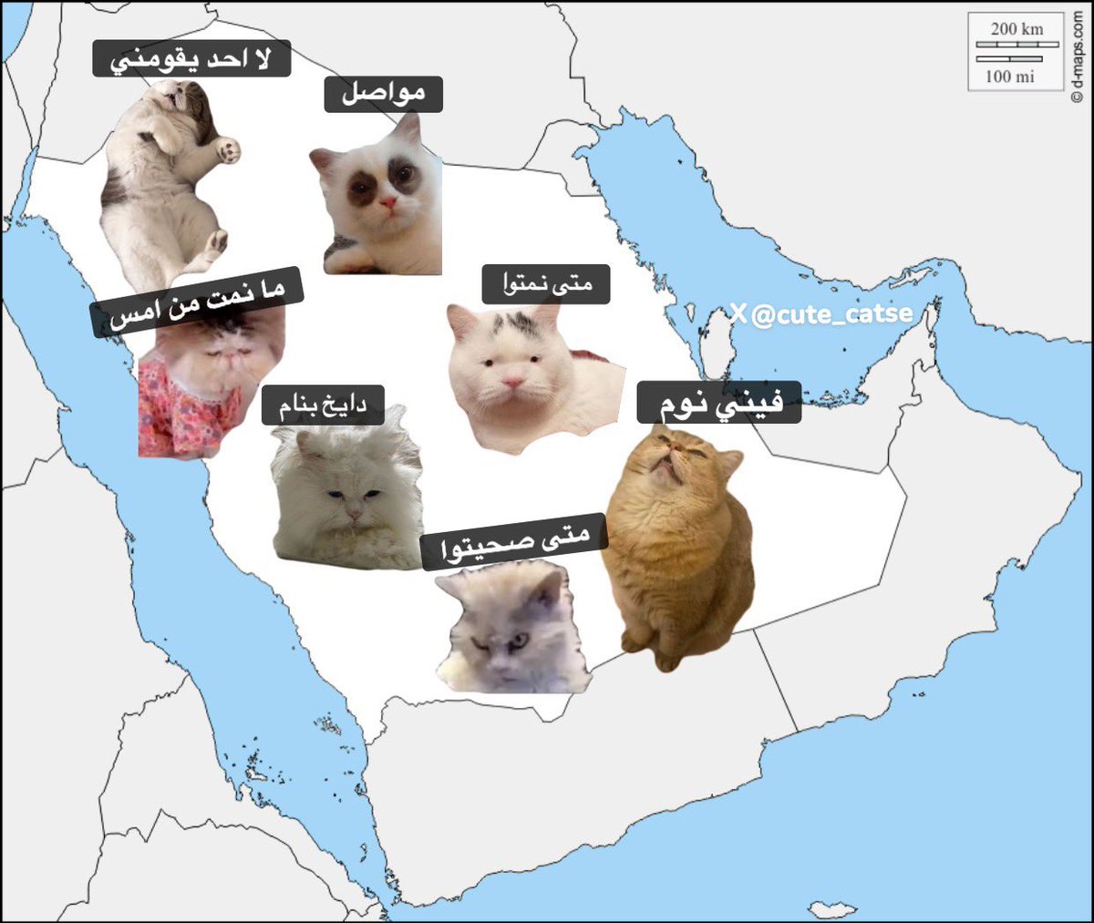 cuttee_cat's tweet photo. وضعنا في شهر شوال : https://t.co/QDeX5cxrjB
