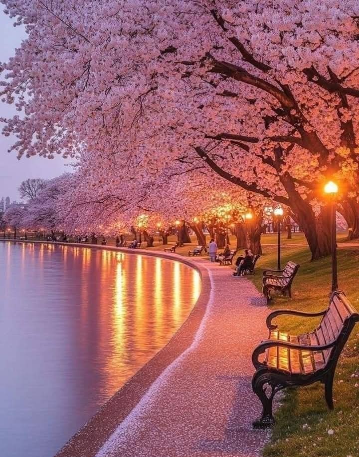 Ich wünsche einen schönen Abend 🩷