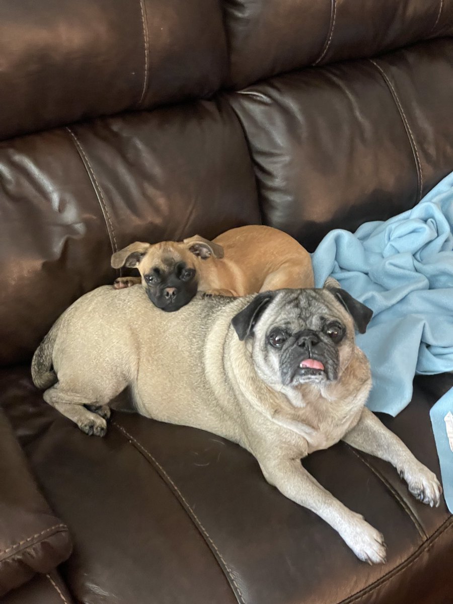 Ryan Howey tweet media