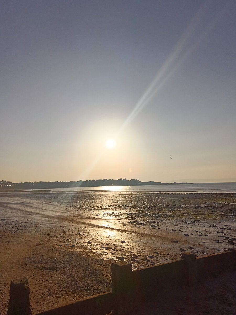 Out for a nice walk tonite