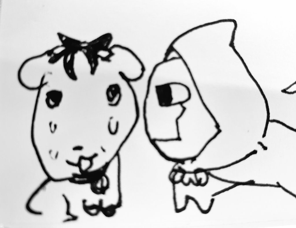 💚 doomrichards 💙 🔜🦋 tweet media