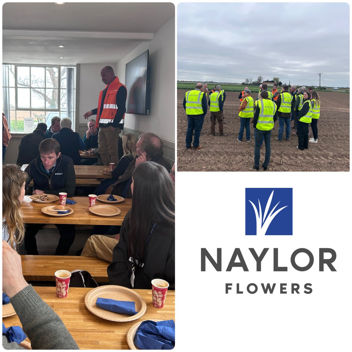 GMapleAgri's tweet photo. Thanks to the whole team at @NaylorFlowers who hosted a great morning on farm yesterday, providing 20 or so guests with an insight into their growing business. 
Great hospitality and a very warm welcome. https://t.co/MSSXu0LyVO